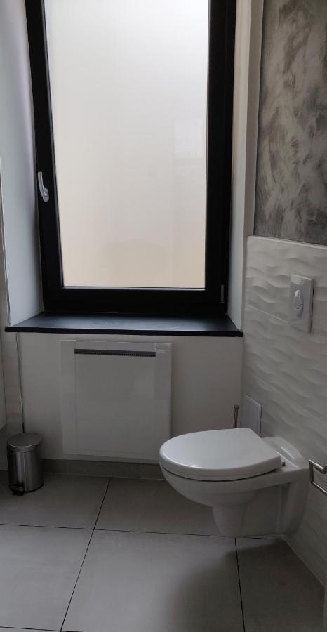Le Purple, Appartement De Standing En Hypercentre Sarreguemines Exterior photo