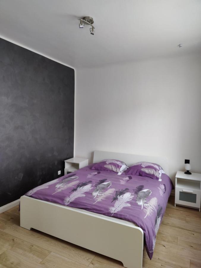 Le Purple, Appartement De Standing En Hypercentre Sarreguemines Exterior photo